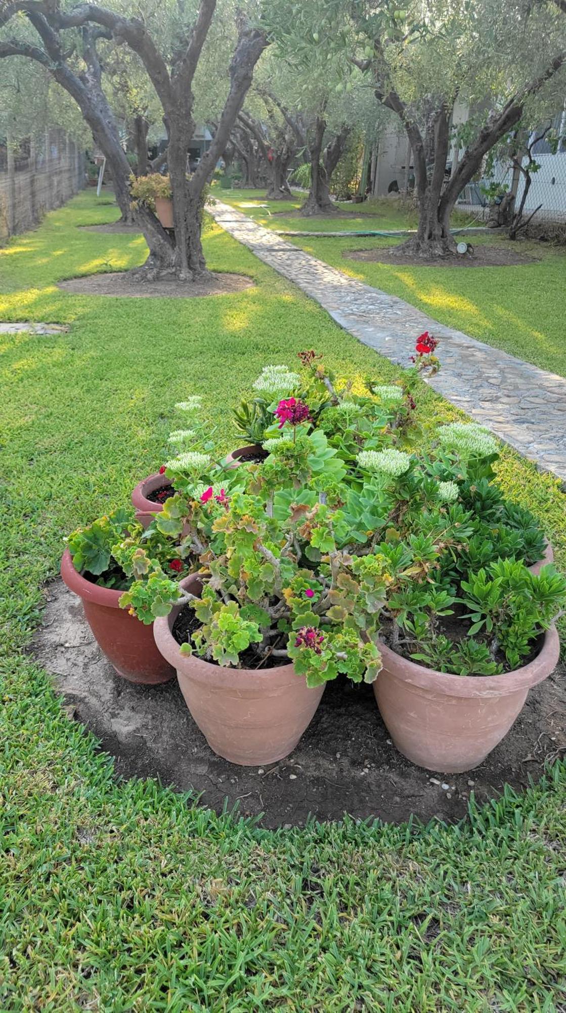 Potidaia House Apartment *