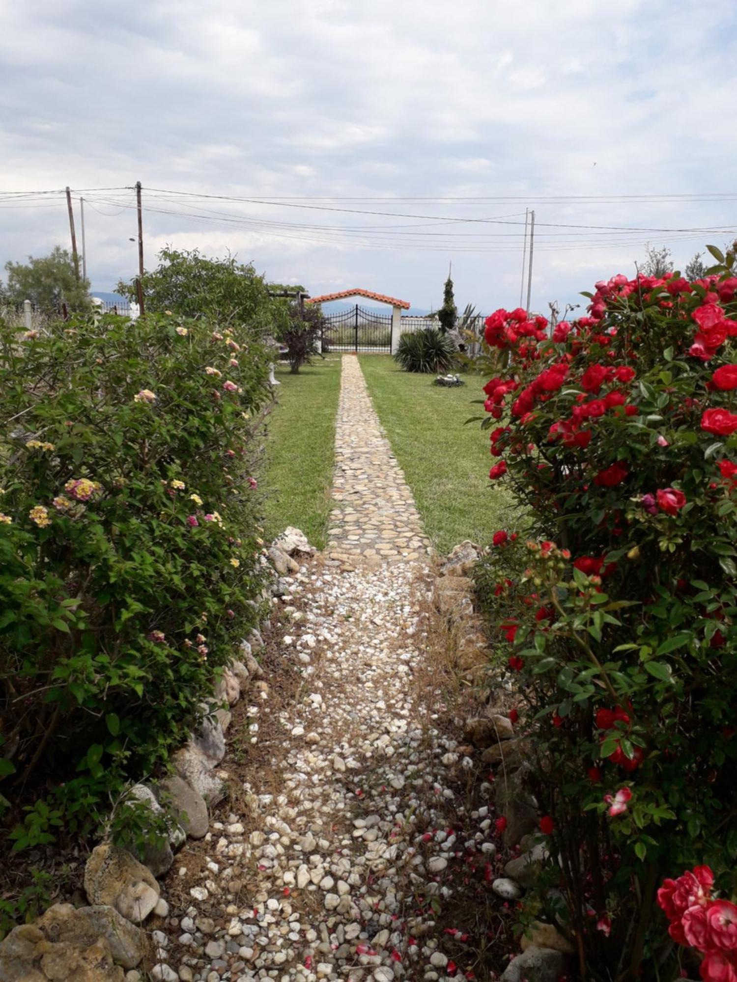 Potidaia House *